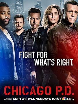 芝加哥警署 第四季 第13集