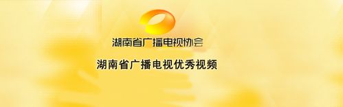 湖南省广播电视优秀视频（2013） 20130605期：帮女郎在行动 尘肺调查报告