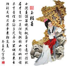 玉楼春(全集)
