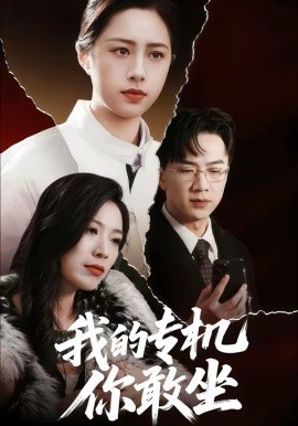 我的专机你敢坐(全集)