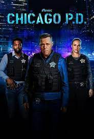 芝加哥警署 第十一季 第04集