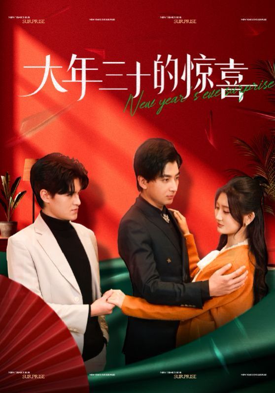 大年三十的惊喜 第01-20集
