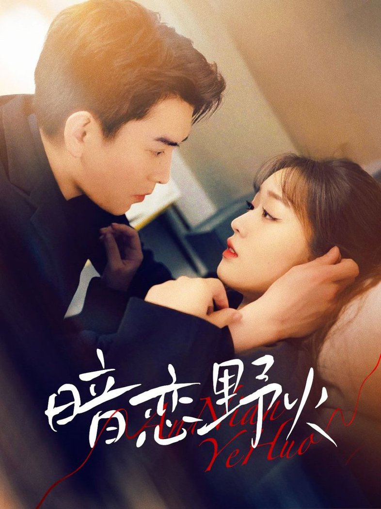 暗恋野火 第01-30集